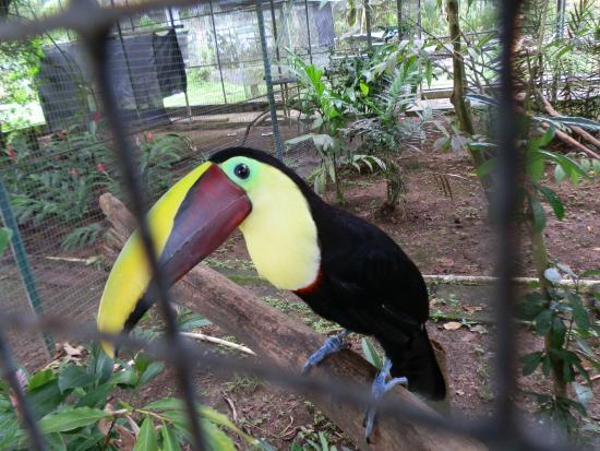 Parque Municipal Summit